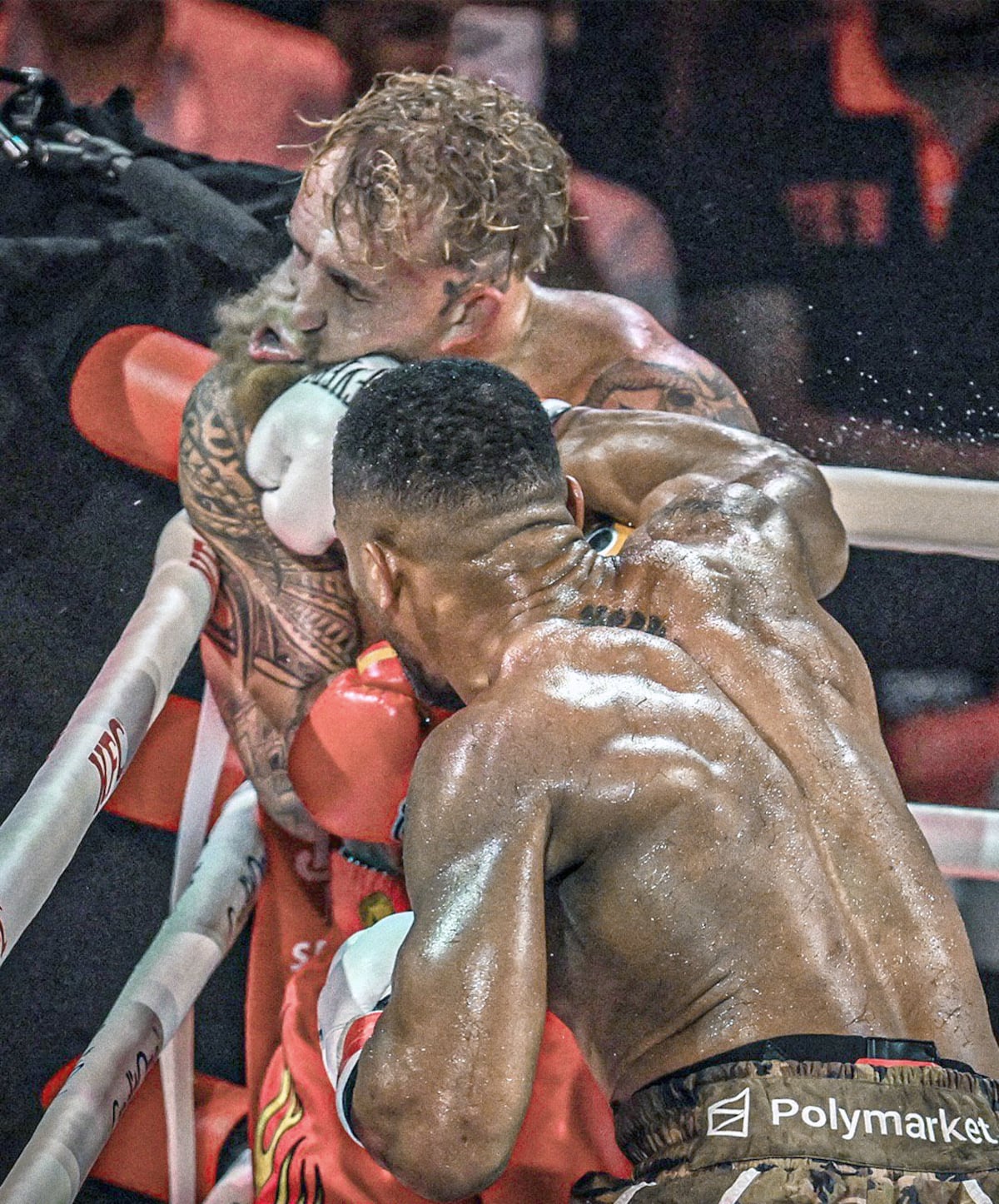 Joshua bajó de la nube a Jake Paul… y los memes remataron