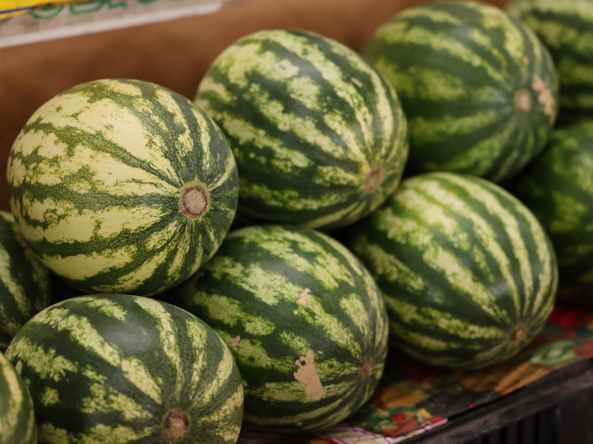 El agro panameño pisa el acelerador y crecen los certificados de exportación