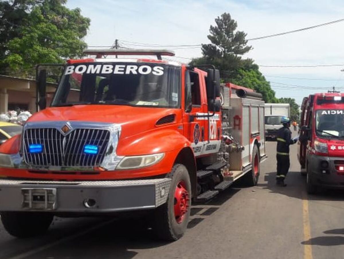 Abejas asesinas vuelven a atacar. Ya mataron a un hombre en Chiriquí
