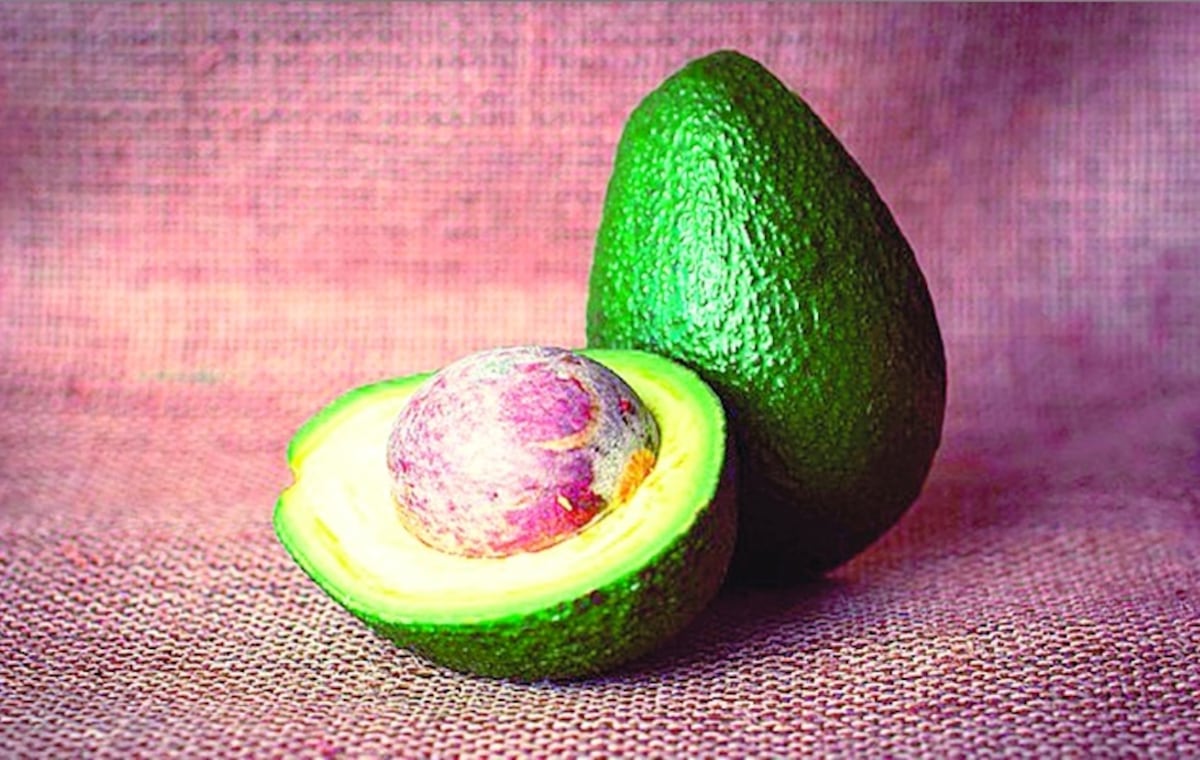 Advierten sobre una peligrosa bacteria que se encuentra en el aguacate
