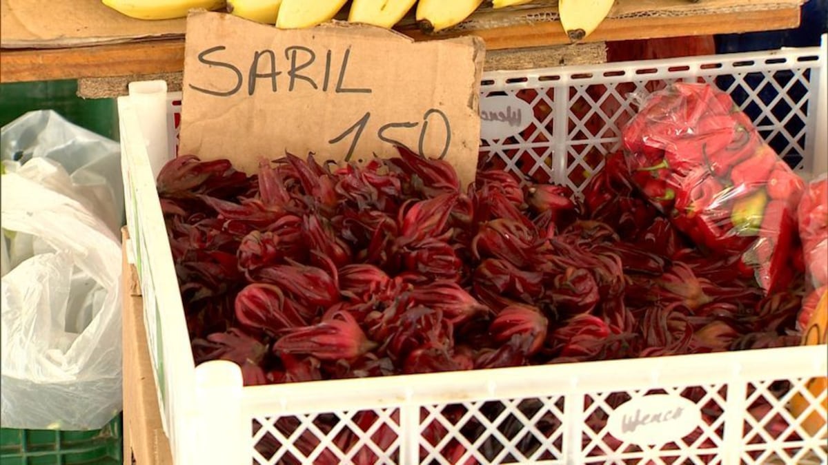 Saril: La bebida festiva que endulza y refresca la Navidad panameña