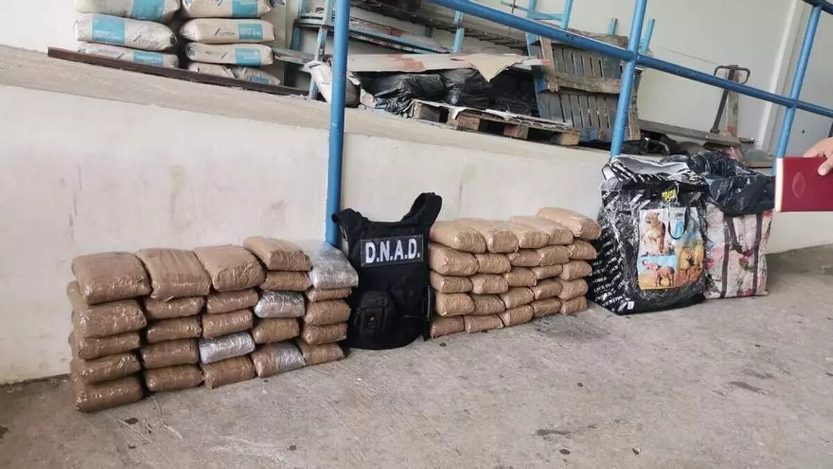 Decomisan 50 paquetes de droga en Chiriquí