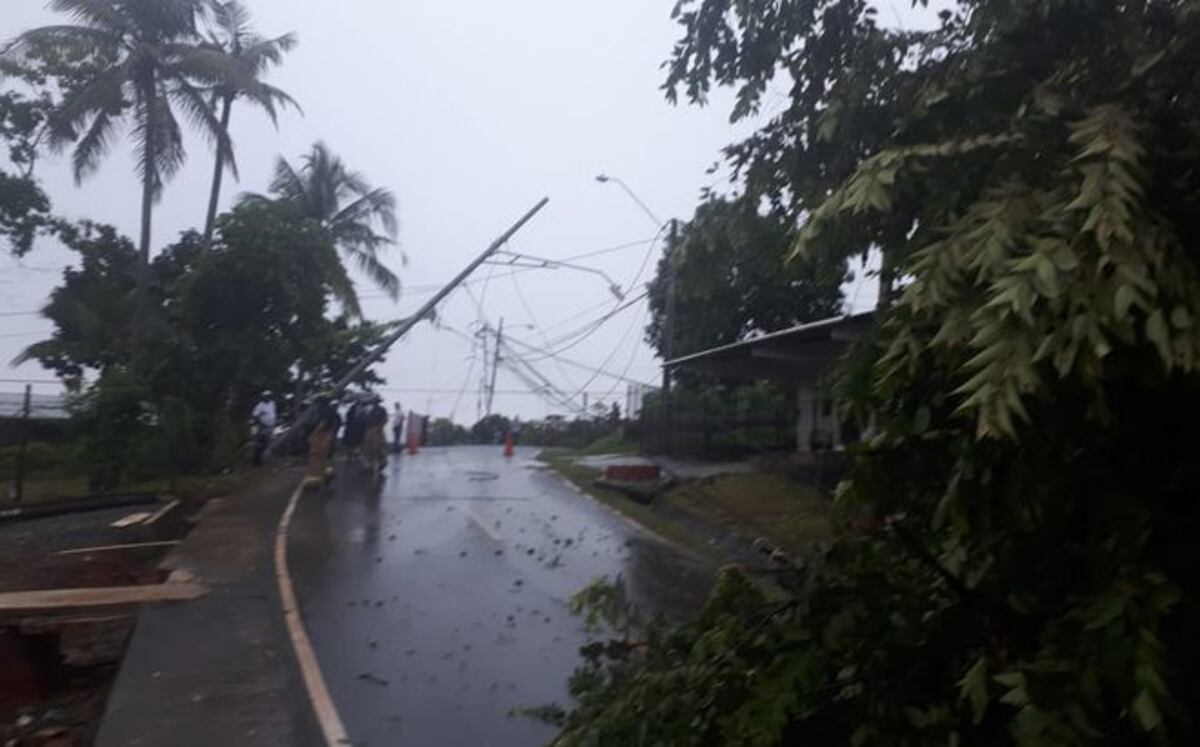 Caída de árboles, calles inundadas y servicio parcial del Metro tras lluvias