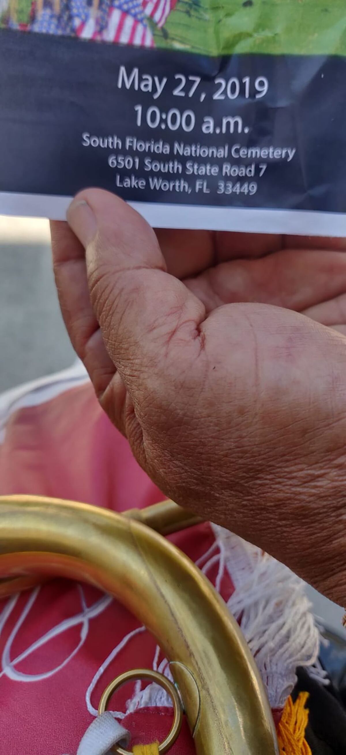 Tachuela, de Panamá, llama la  atención en Florida