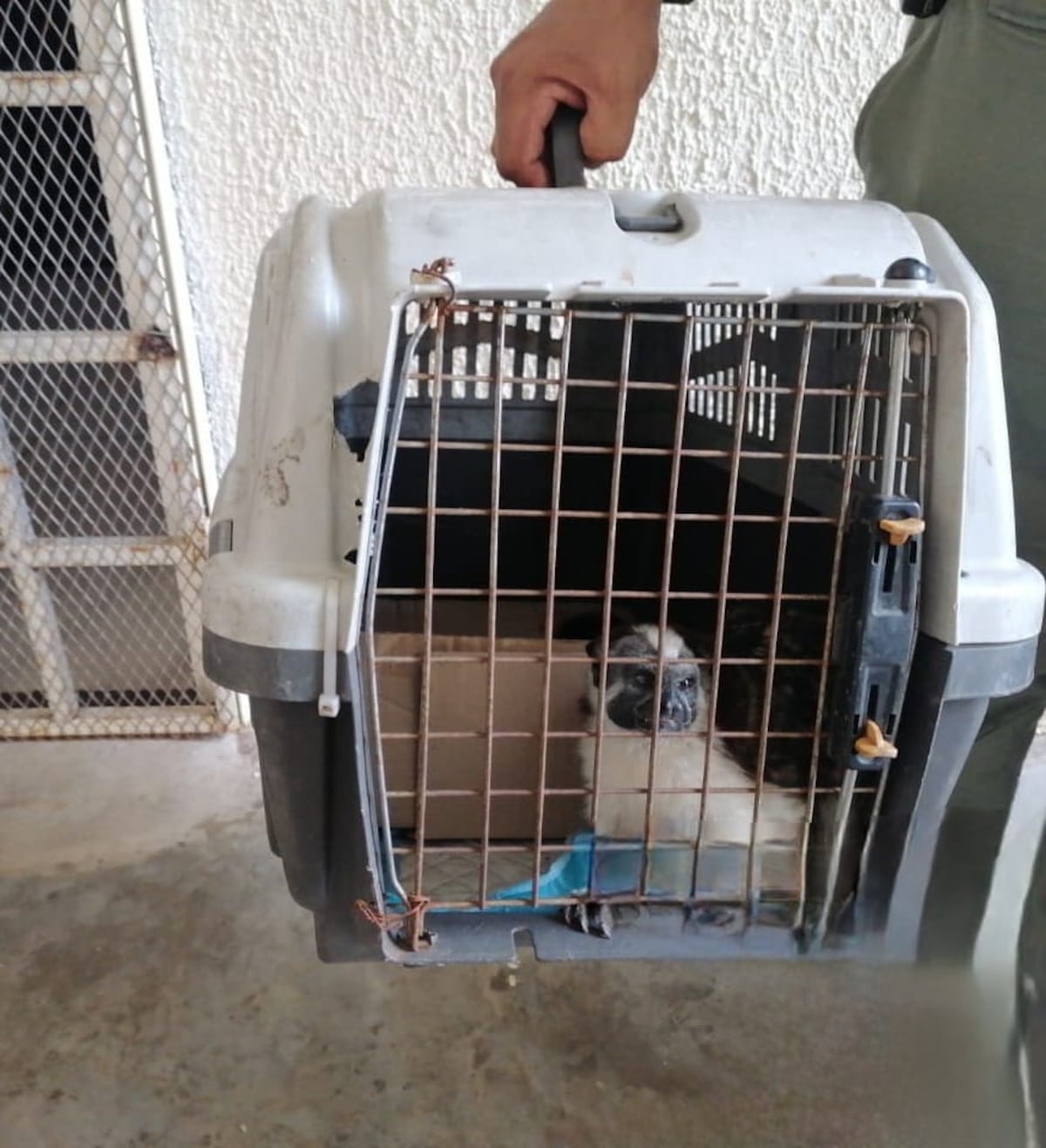 Un mini zoológico en Ciudad Esperanza 