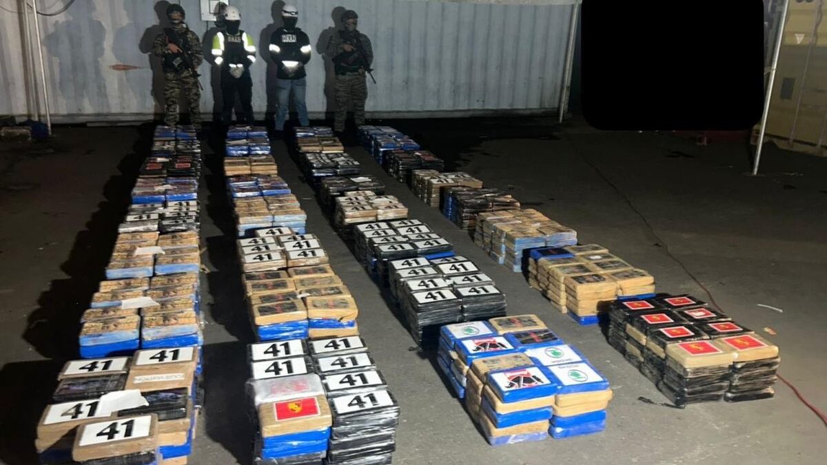 En solo una semana, Fiscalía de Drogas tumba más de 1.6 toneladas de droga al narco