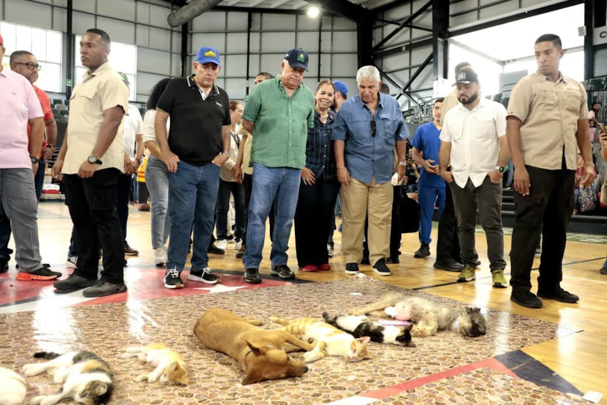 Misión Patitas alcanza 20 mil esterilizaciones y avanza clínica veterinaria en Chiriquí