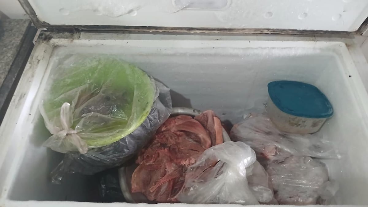 Carnes bajo la lupa en Panamá Oeste: cae la ‘Holstein 2′