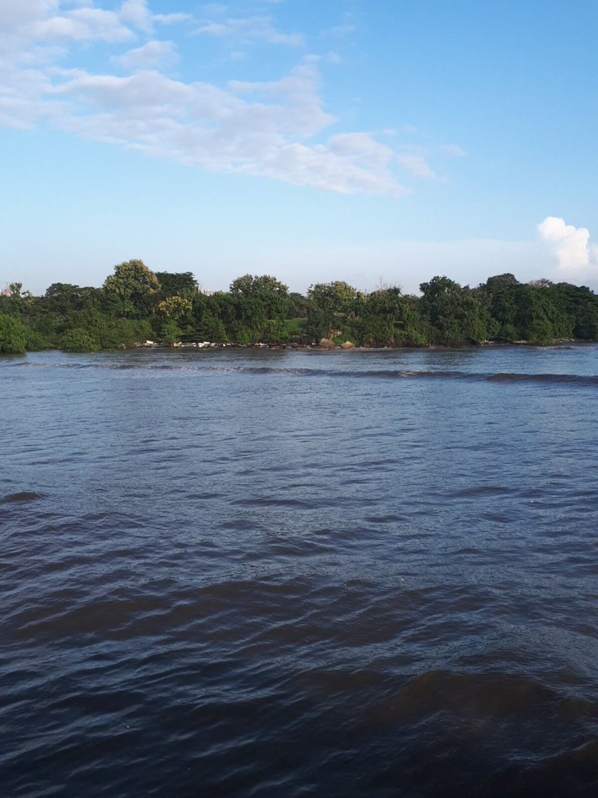 Iba en un taxi por el tramo marino del Corredor Sur y se lanzó a darse un baño