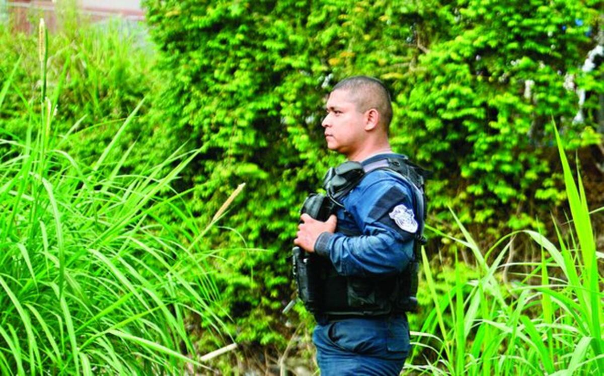 Macabro: Mujer que fue hallada en Río Abajo no tenía ojos ni orejas