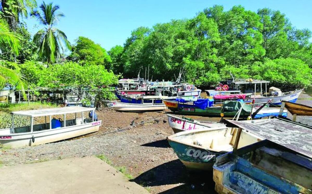 Olvidadas. Estas embarcaciones impiden el tráfico de otras naves en Chiriquí
