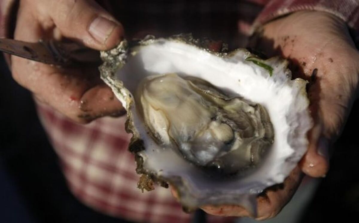Bacteria 'come carne' mata a mujer que consumió ostras crudas