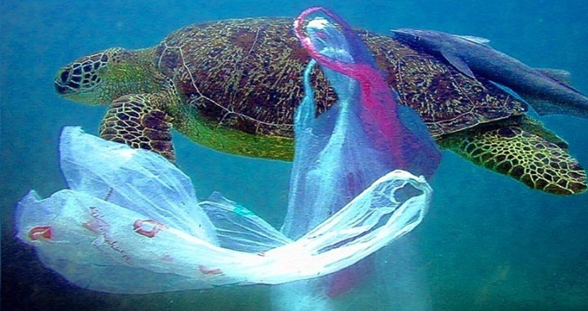 ¡CHAO, PLÁSTICO! Piden que el presidente sancione ley ¡WELCOME, BOLSAS DE TELA! 