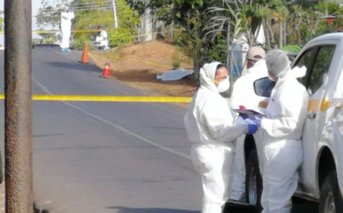 14 asesinatos. Durante los primeros 15 días del mes de marzo 