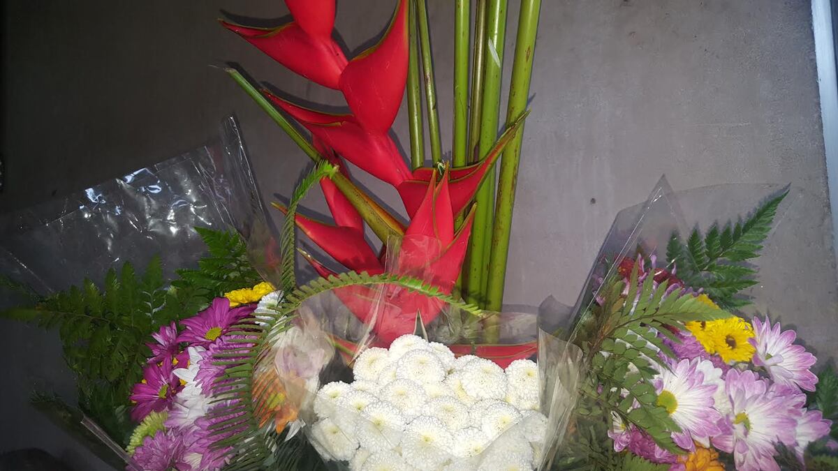 Muere cantante panameño. ‘Otra deuda sin pagar de un país que no ha sabido dar honor a los que se merecen’