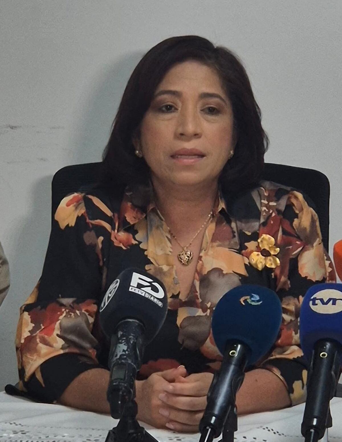 ¿Desfiles en peligro por las lluvias? Meduca, MINSA y otras instituciones se preparan para las fiestas patrias