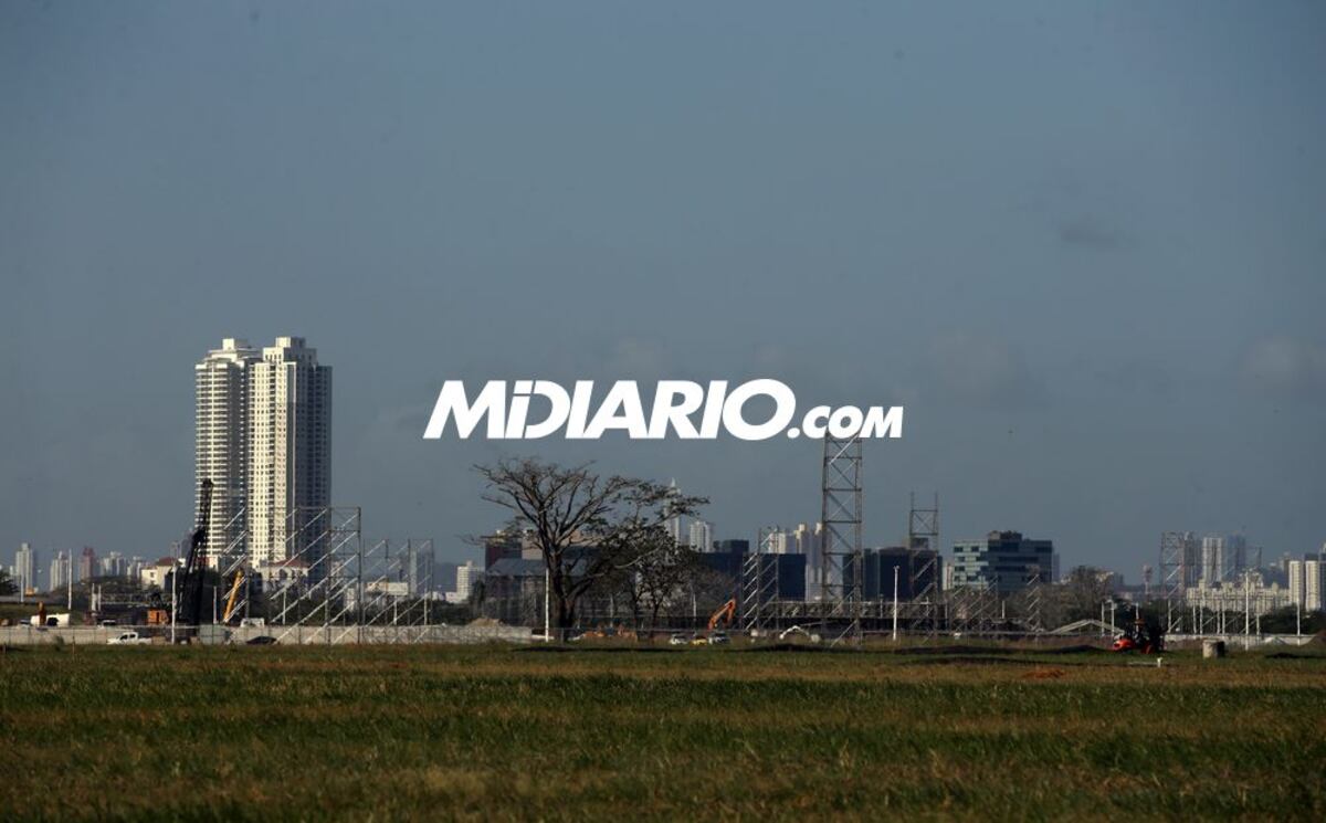 Conoce a Fulo, el perro que evitará explosivos en la JMJ