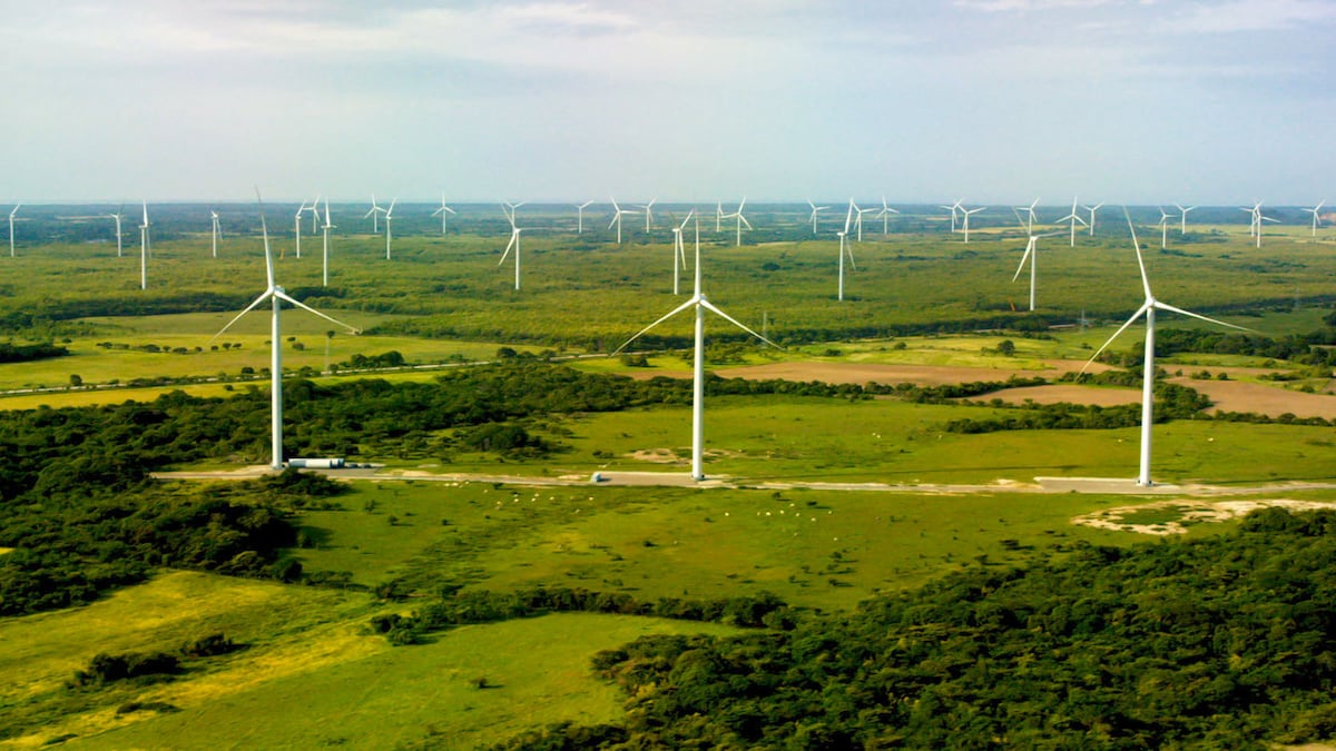 La agricultura digital. En tiempos de pandemia la tecnología puede ser una aliada para los campesinos