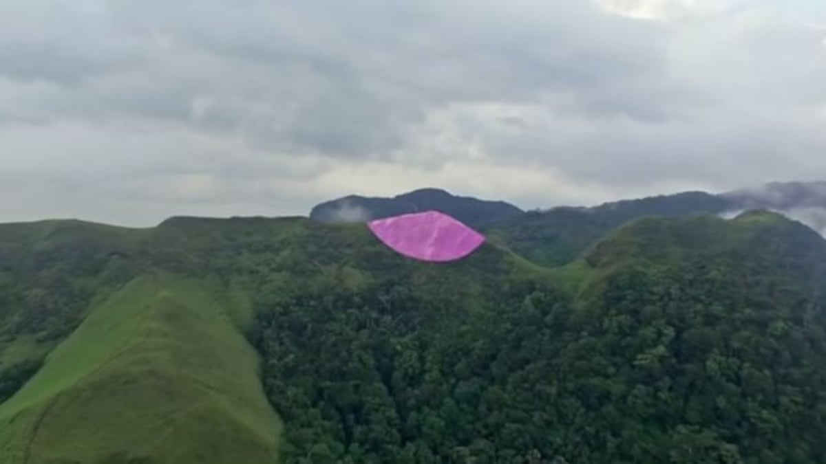 Revela el por qué del 'brazier' de la India Dormida