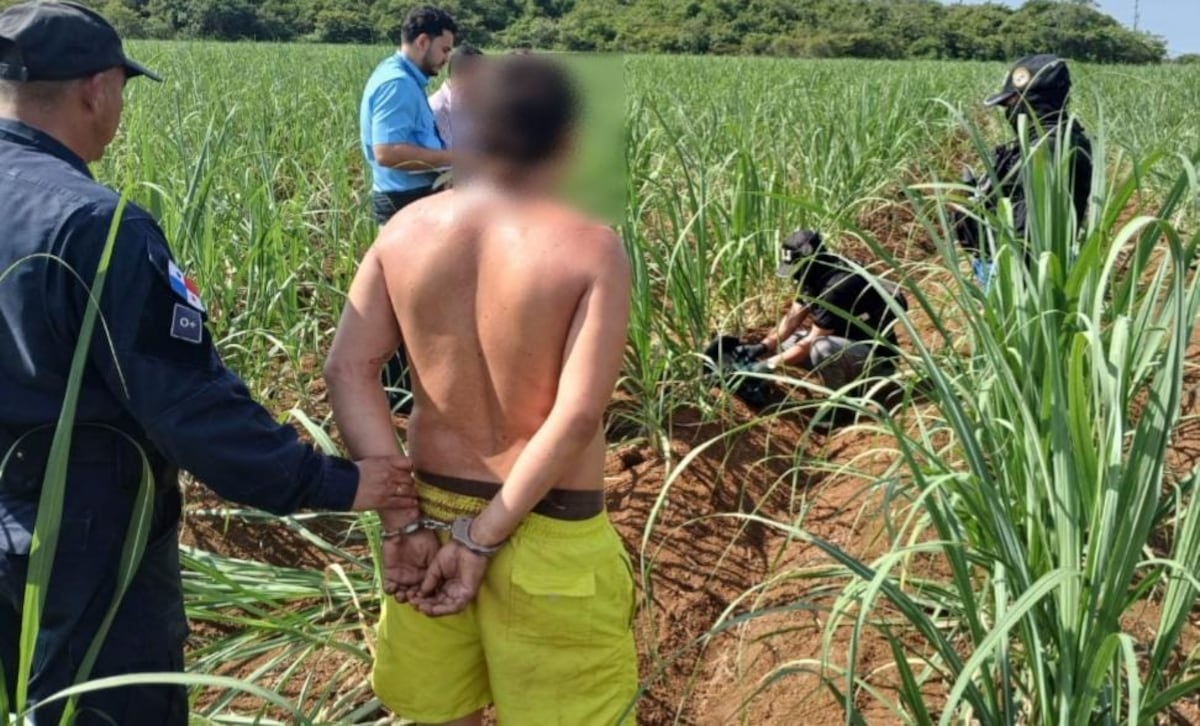 Lo encontraron en el cañaveral: cayó con presuntas sustancias y dinero