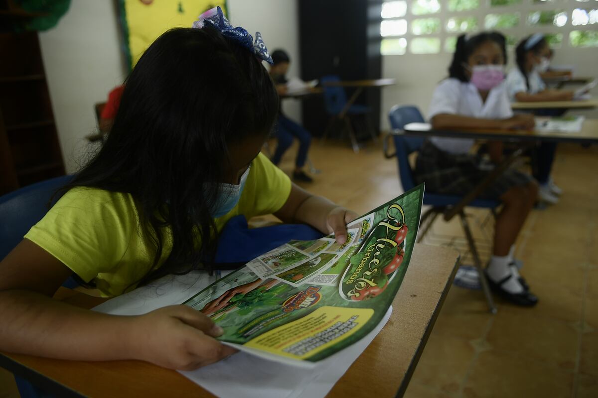 A cultivar desde la comodidad de su casa 