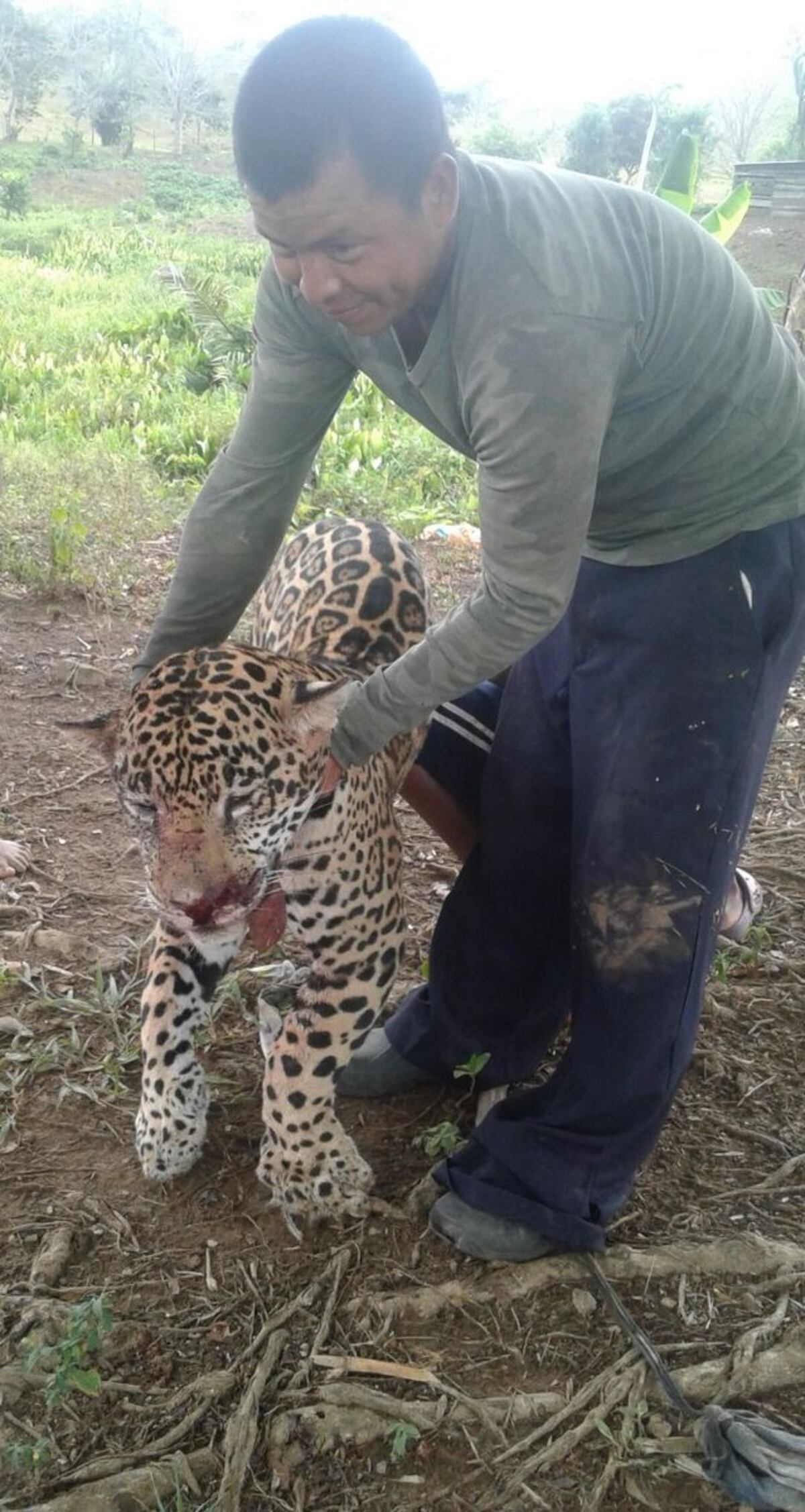 ¡SE BUSCA! Las autoridades panameñas requieren a este hombre por crueldad animal