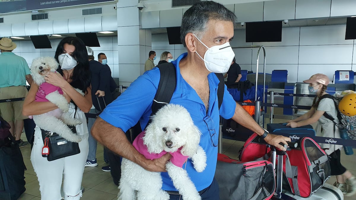 Unas 100 personas fueron repatriadas hacia Estados Unidos en vuelo humanitario