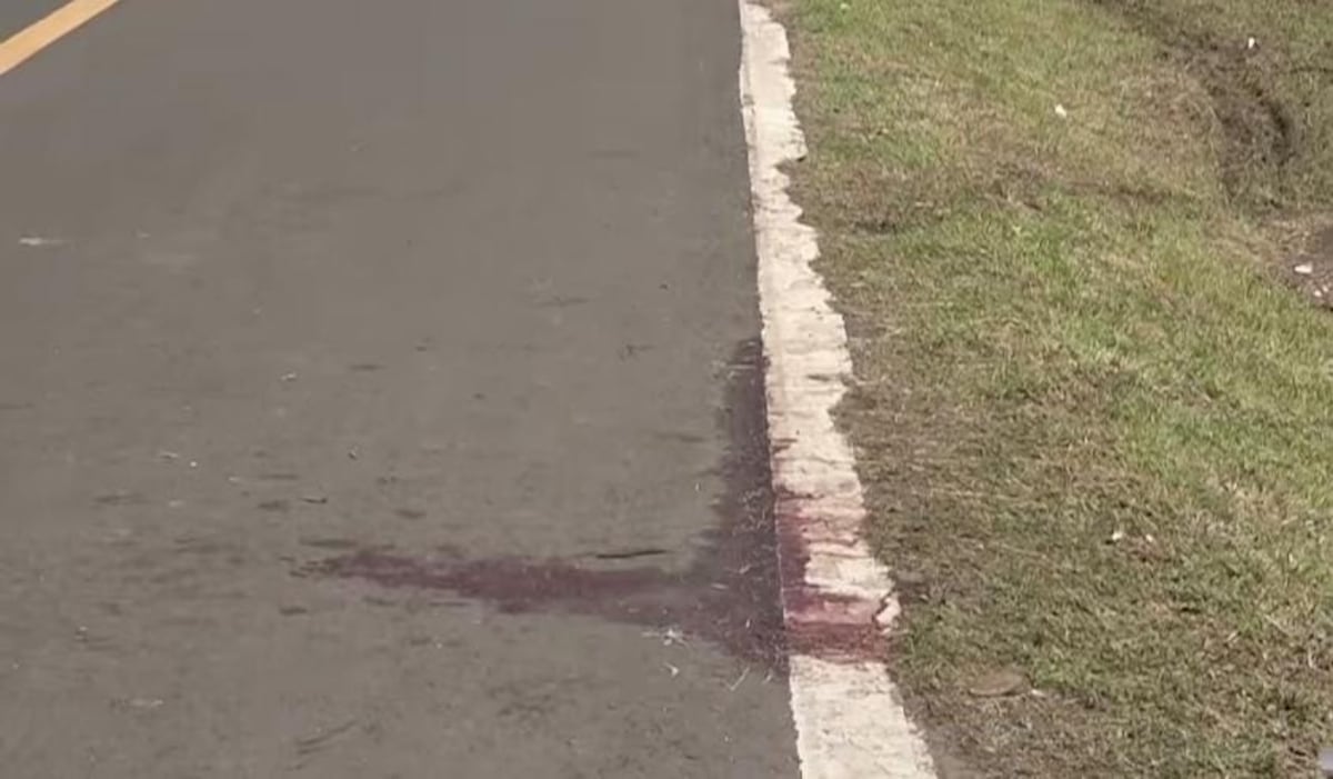 ‘Topo’ muere en atropello mortal en Capira: una Honda Pilot aparece involucrada