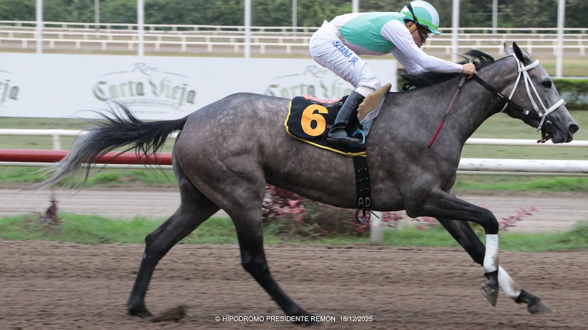 ¡Cerraron inscripciones! Potros y potrancas listos para Navidad y Socrica en Hipódromo Remón