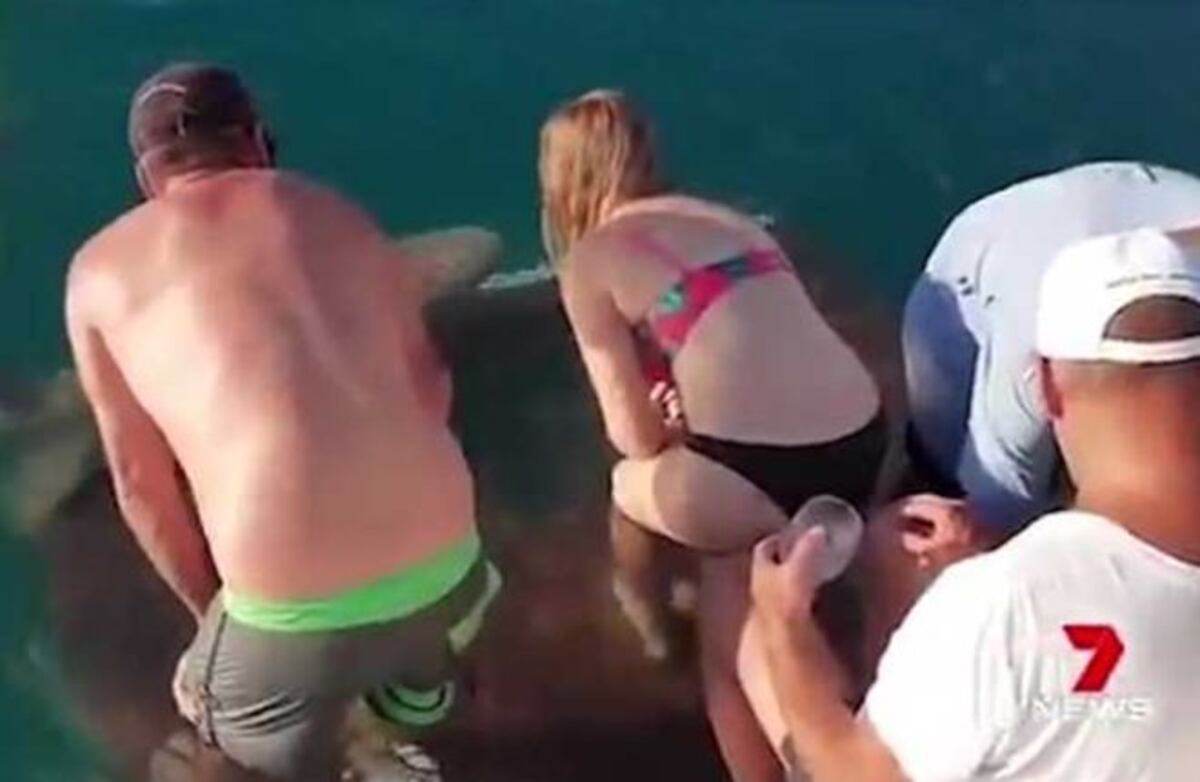 Tiburón mordió a una mujer y la arrastró hacia el agua infestada de cocodrilos