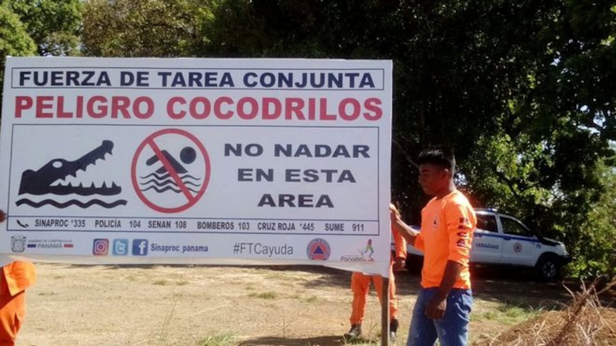 NO SE META A LOCO. Cocodrilos siguen sueltos, no vaya a este río