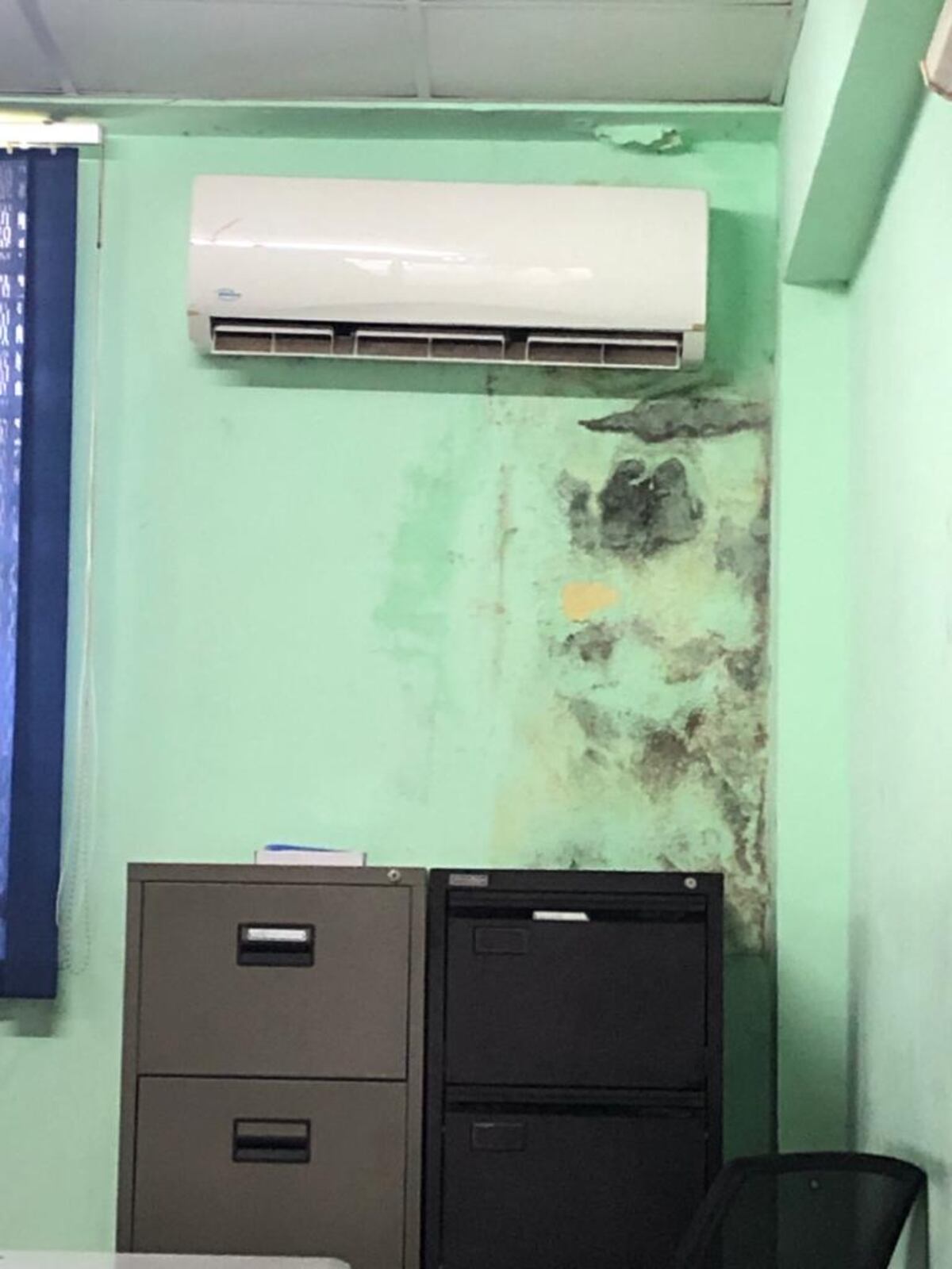 Murciélagos invaden el colegio IPT de Juan Díaz y el Ministerio de Educación, incumpliendo sus promesas