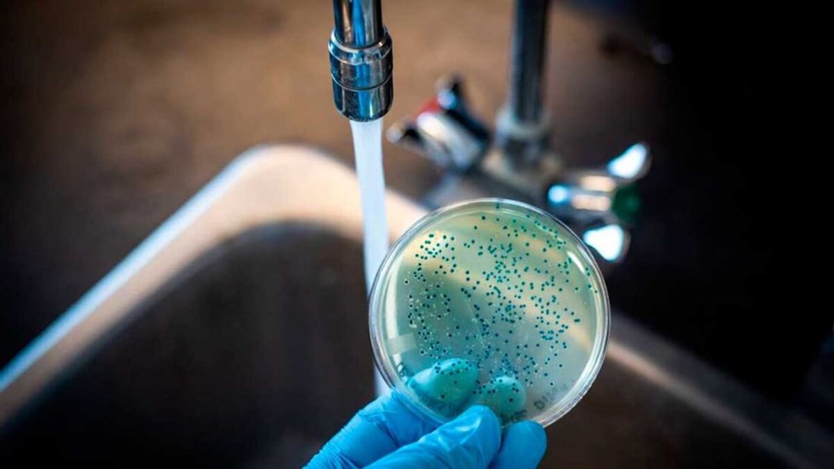 La OMS advierte brotes de cólera alrededor del mundo