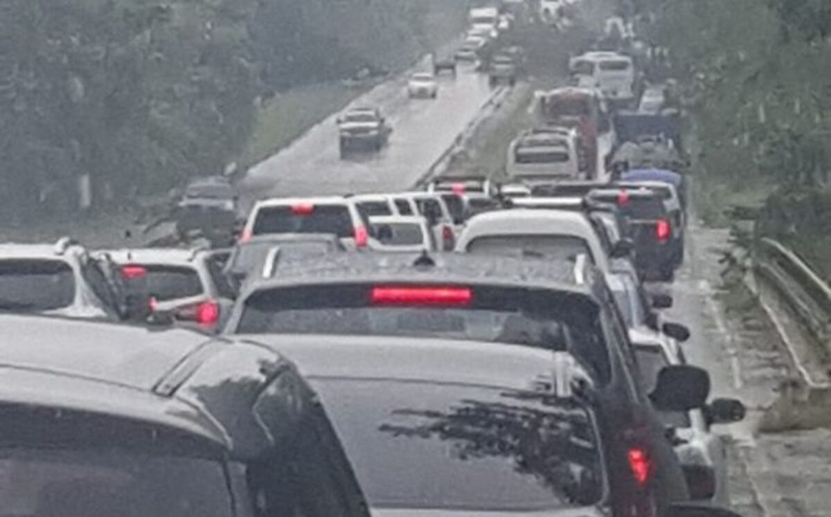Árbol de gran tamaño colapsa en la vía Interamericana. El tranque fue descomunal