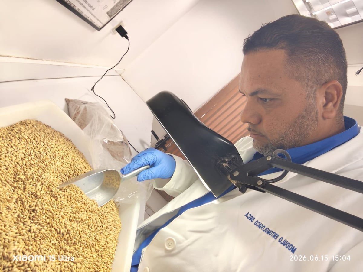 Laboratorios reportan 2,781 análisis en mayo: interceptaron 224 insectos pero no plagas cuarentenarias