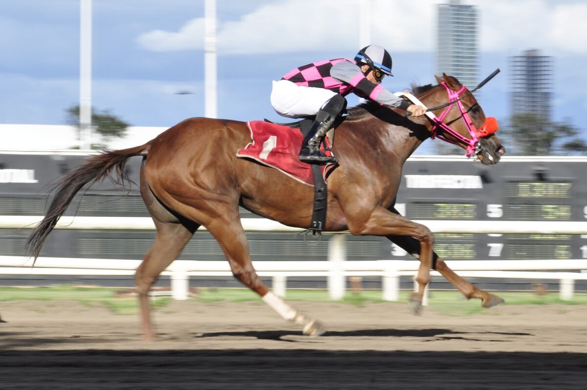 Homenaje en la pista: APROTURF celebra su clásica con pura emoción