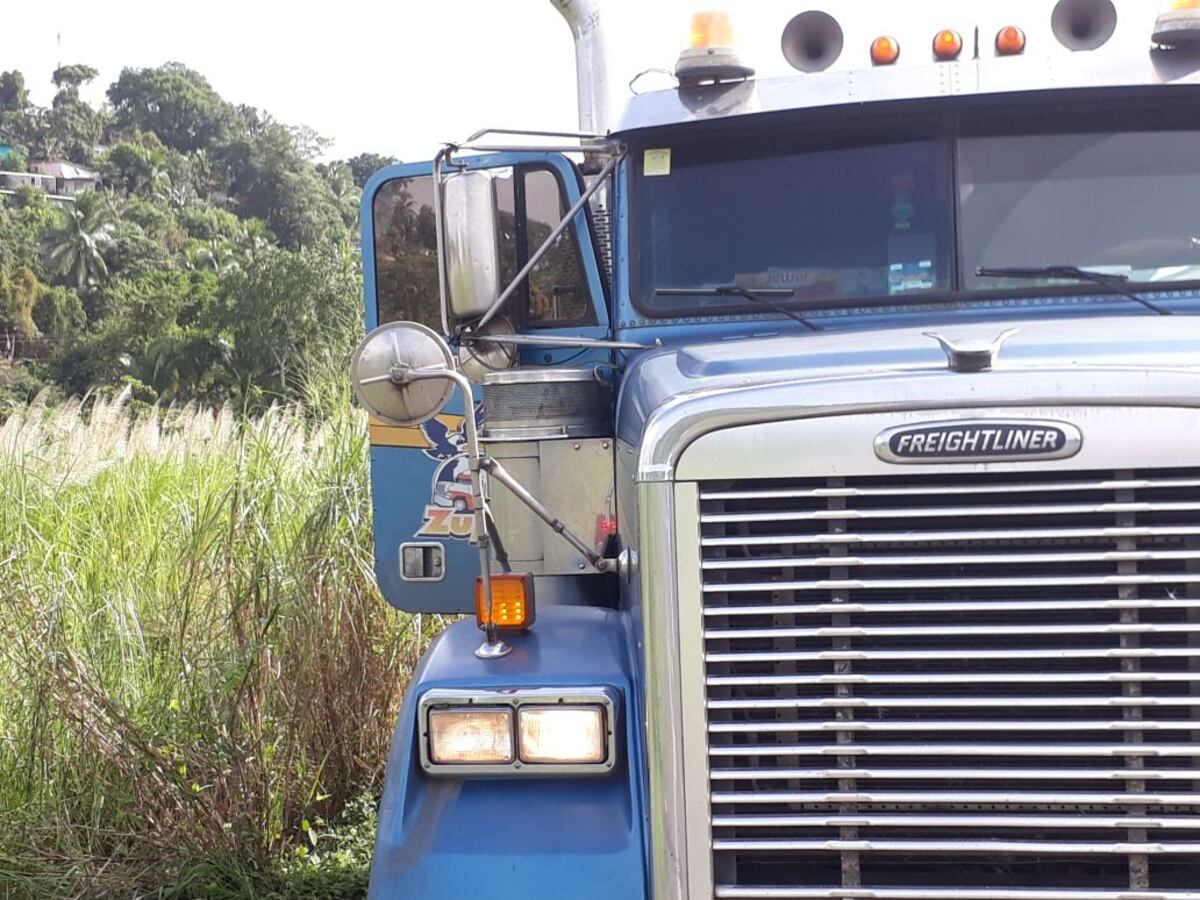 ¿Será robada? En Westland encuentran mula abandonada