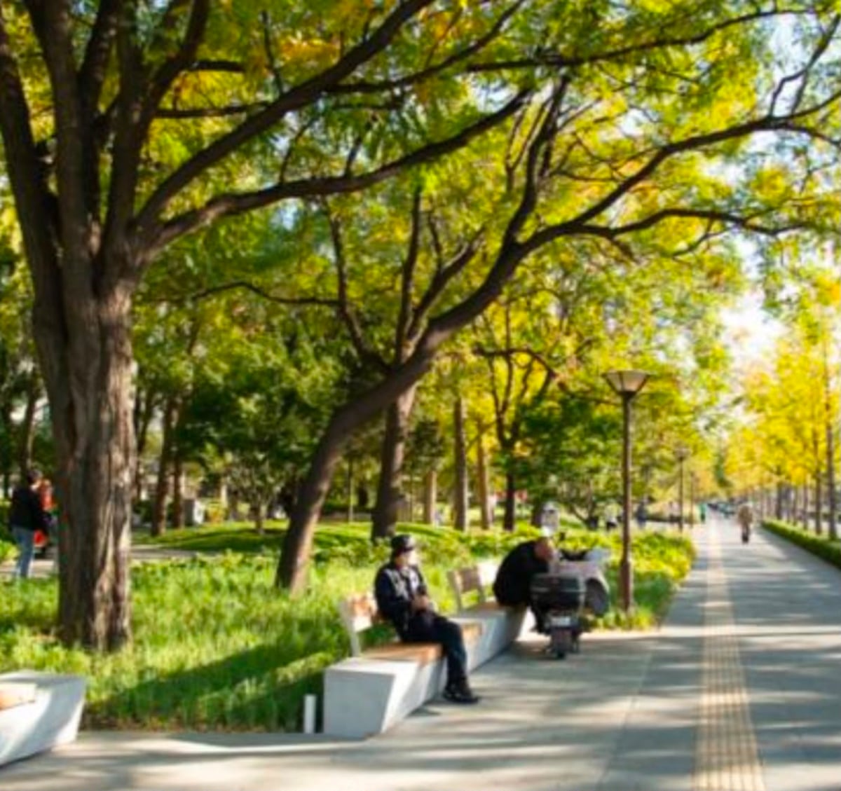 Tocumen tendrá un nuevo parque: Alcaldía invertirá $12 millones en la obra