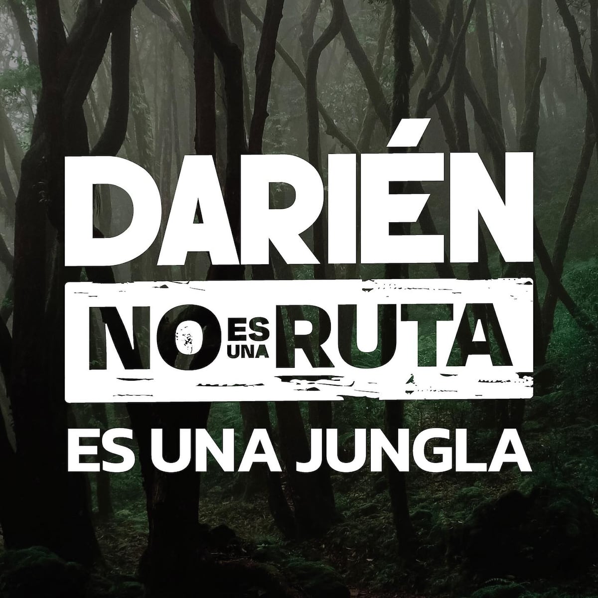 ‘Darién no es una ruta, es una jungla’, la campaña lanzada por Panamá ante la crisis de migración irregular