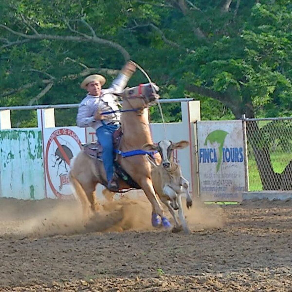 Kendal Royo sufrió una caída antes de morir que le dejó un pulmón delicado