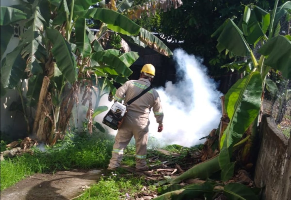 Panamá reporta tercera muerte por dengue