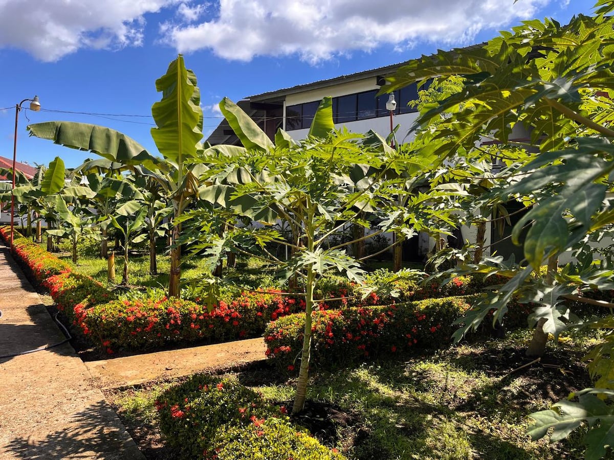 Comité agrícola del FIDA entra en cuenta regresiva y afina detalles para la Feria Internacional de David