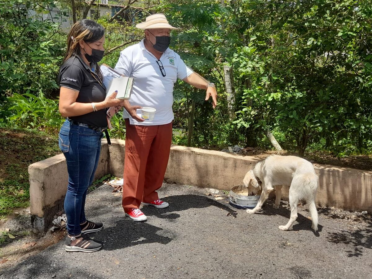 Operativos diarios para evitar el maltrato a las mascotas