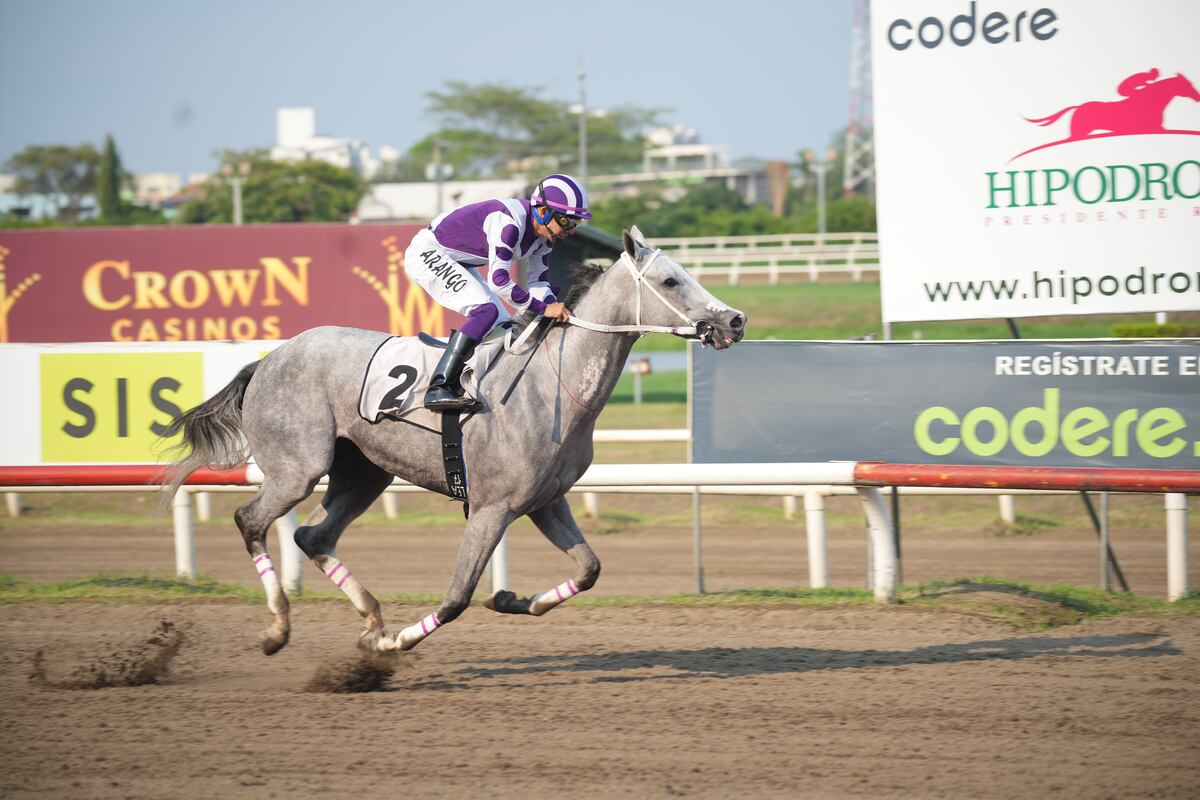 Silver Wood galopa hacia la victoria en el Hipódromo Presidente Remón