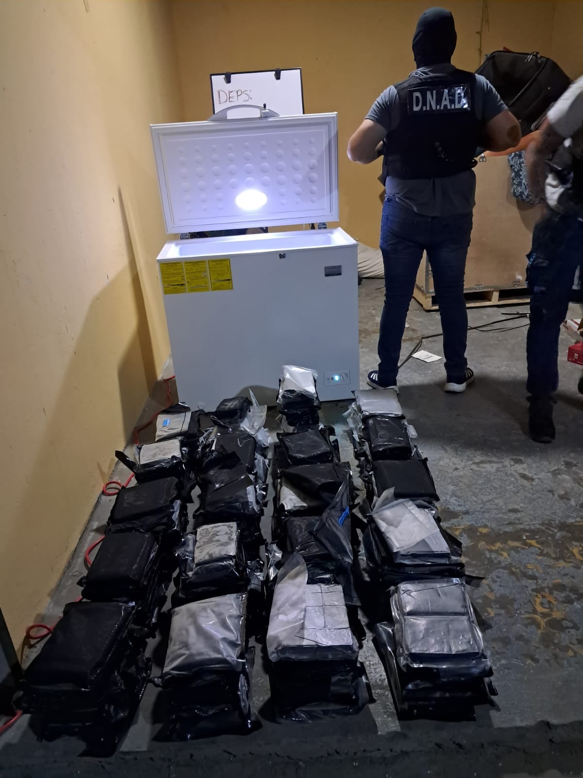 Operación Sacramento: Golpe al narcotráfico con la incautación de 217 paquetes de presunta droga y la detención de tres estadounidenses