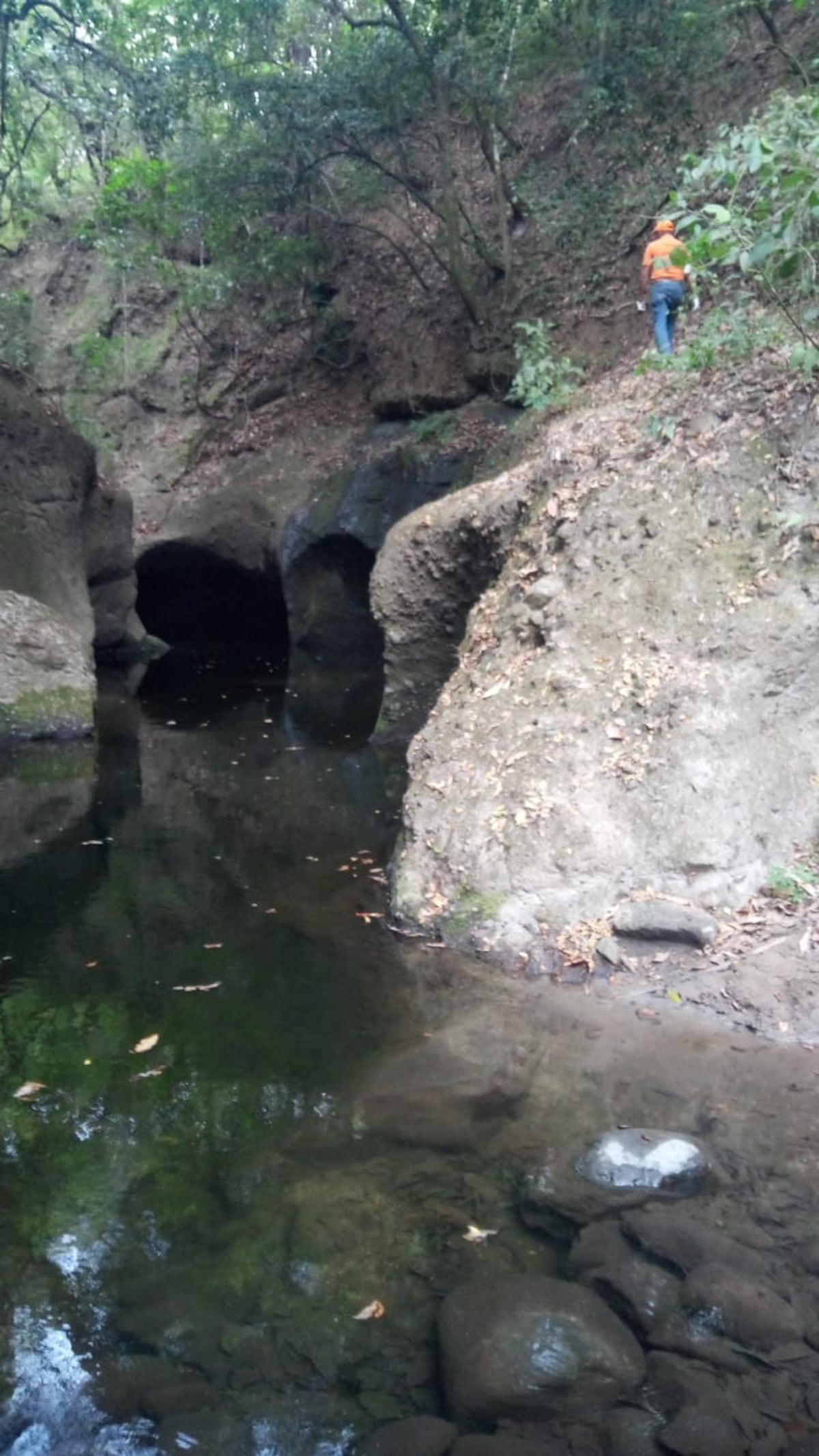 Tragedia. Muchacho fue desde Río Abajo a pasear al Oeste y se ahogó en el río este Sábado Santo