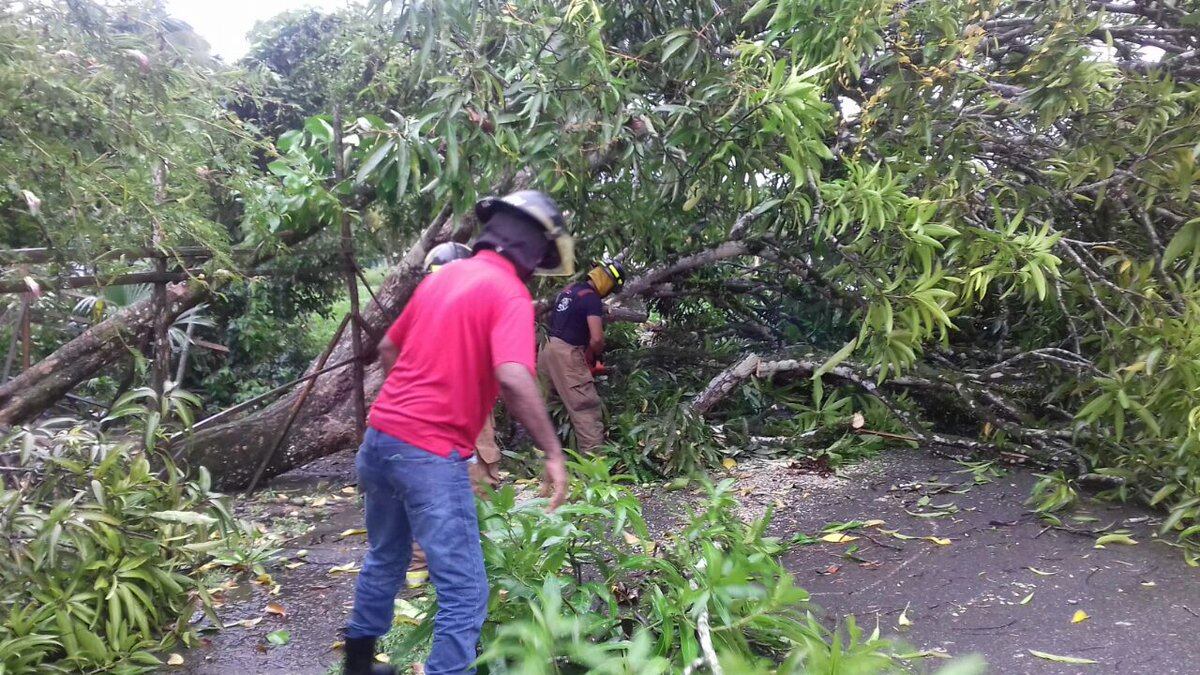 Crecidas de ríos, inundaciones y árboles caídos se registran en Bocas del Toro