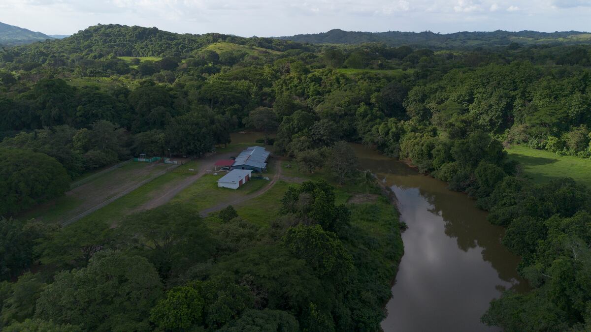 Se armó en Azuero: Abren investigación por contaminar el río La Villa