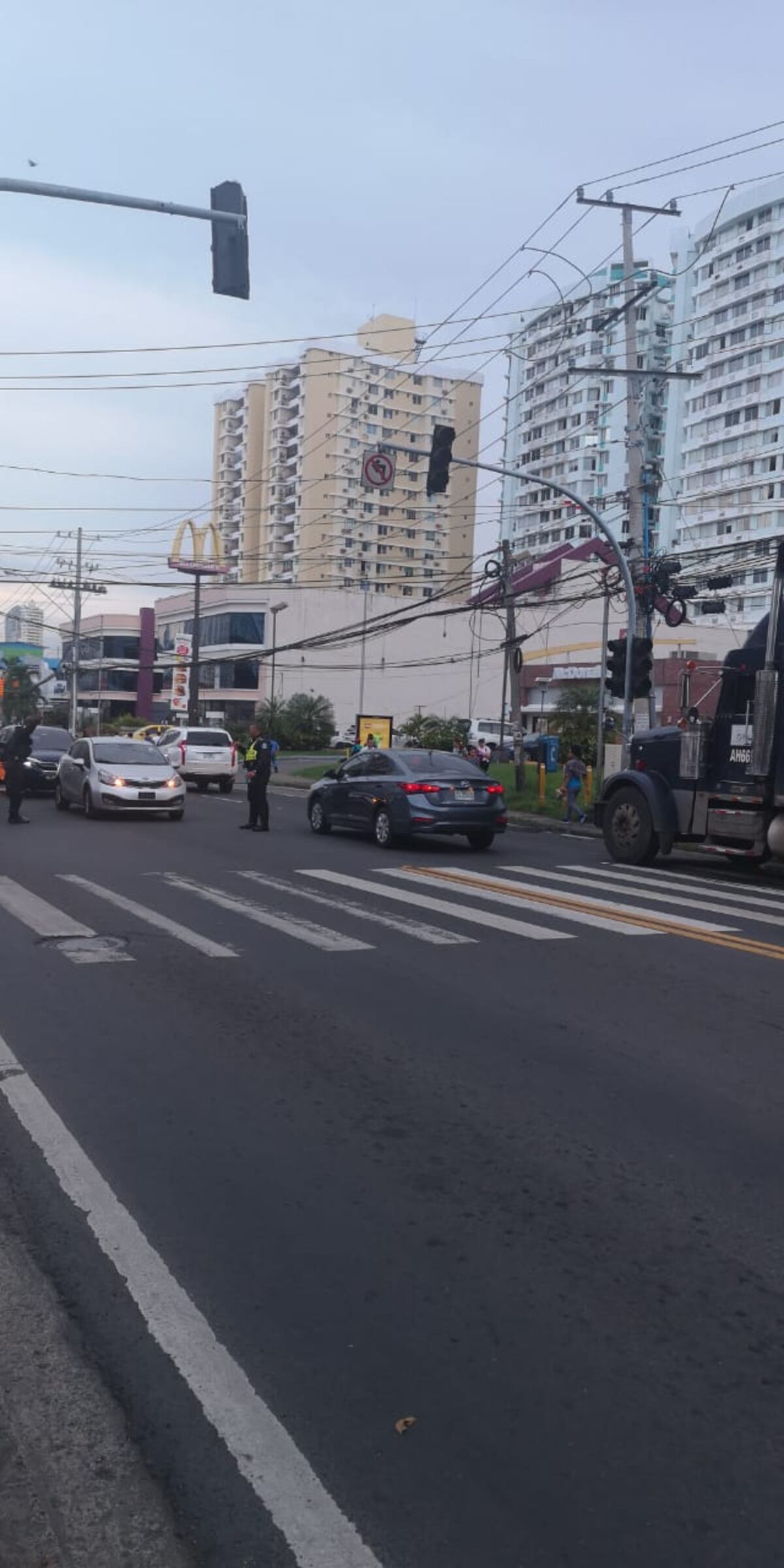 Tranque descomunal. Mula afecta tendido eléctrico en plena Vía España. Video
