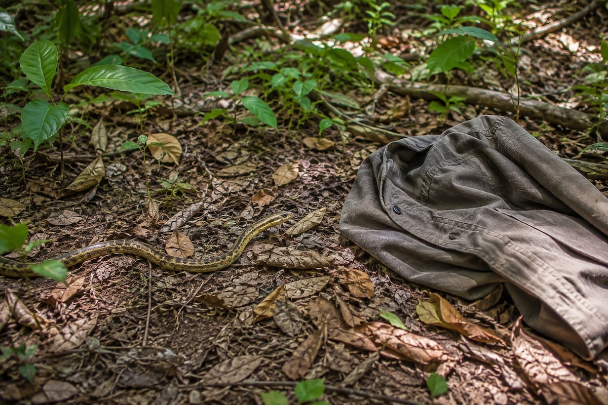 DESGARRADOR. Adulto mayor muere tras ser mordido por una serpiente en una zona de difícil acceso; sus familiares intentaron salvarlo pero no aguantó